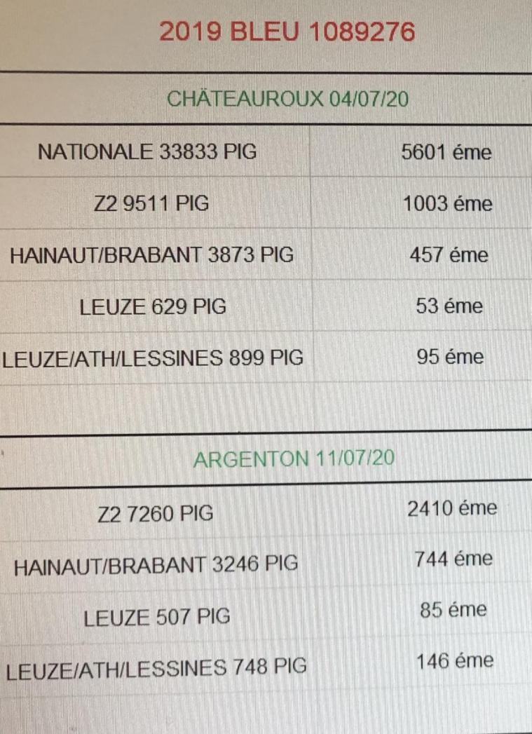 120093292 342210680462319 4038079283661587018 n