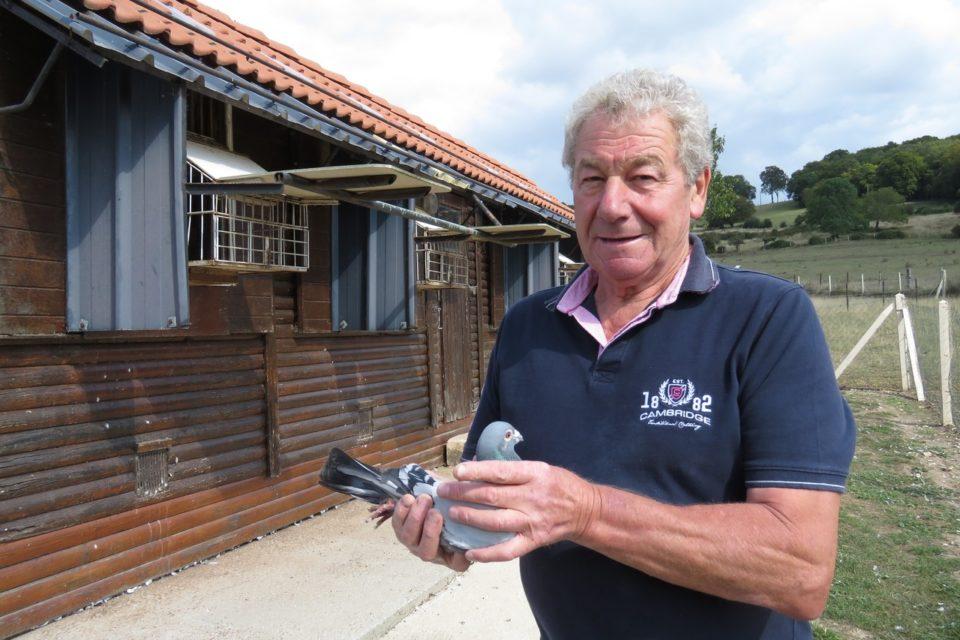 1604829075 pigeon 960x640