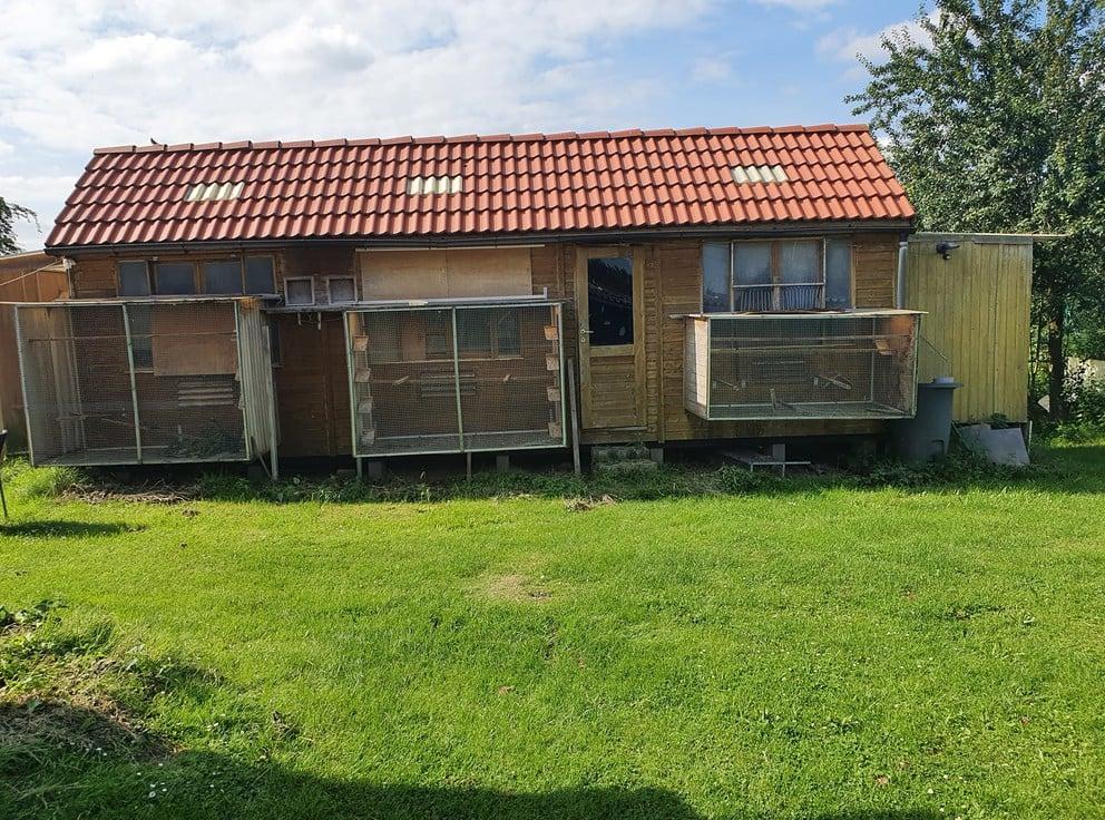 238310628 227949889335297 3897321325204854073 n