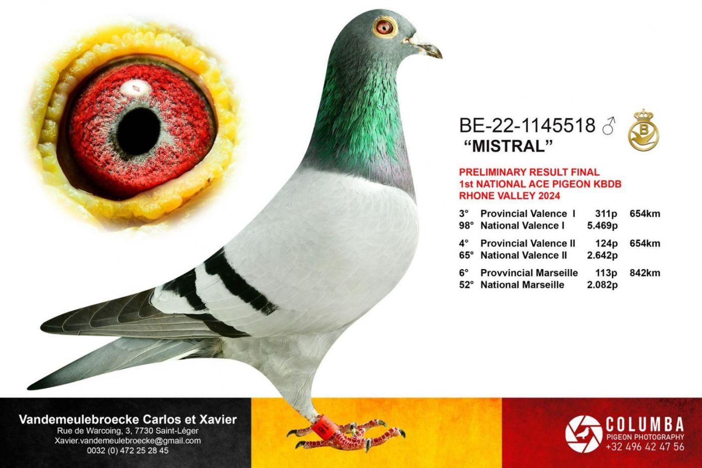 452712467 920049380166632 7428132510345255773 n