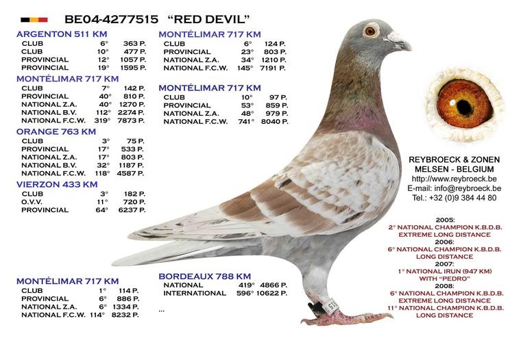 «RED DEVIL» (BE04-4277515)