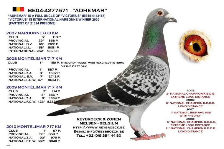 «ADHEMAR» BE04-4277571