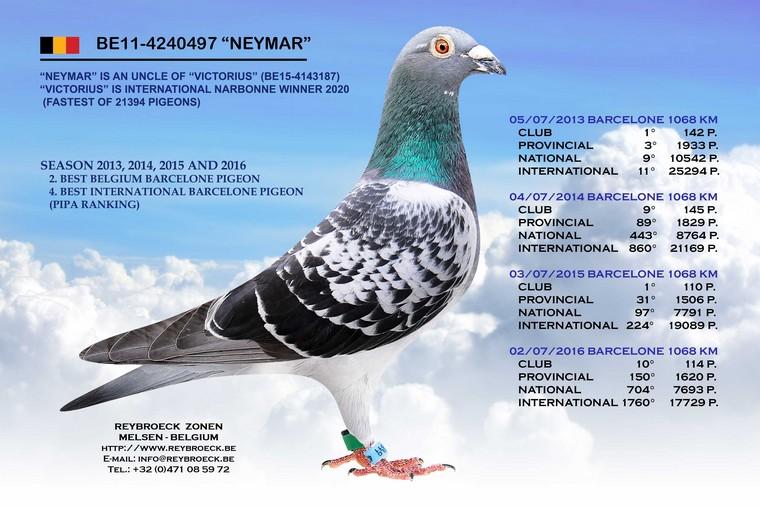 «NEYMAR» BE11-4240497