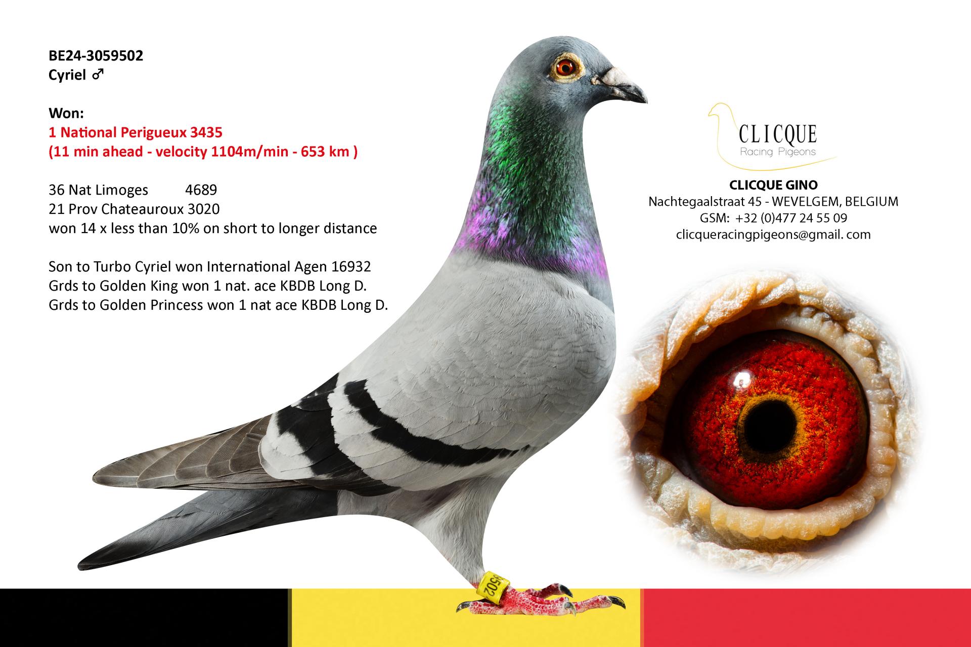 CYRIEL BE24-3059502