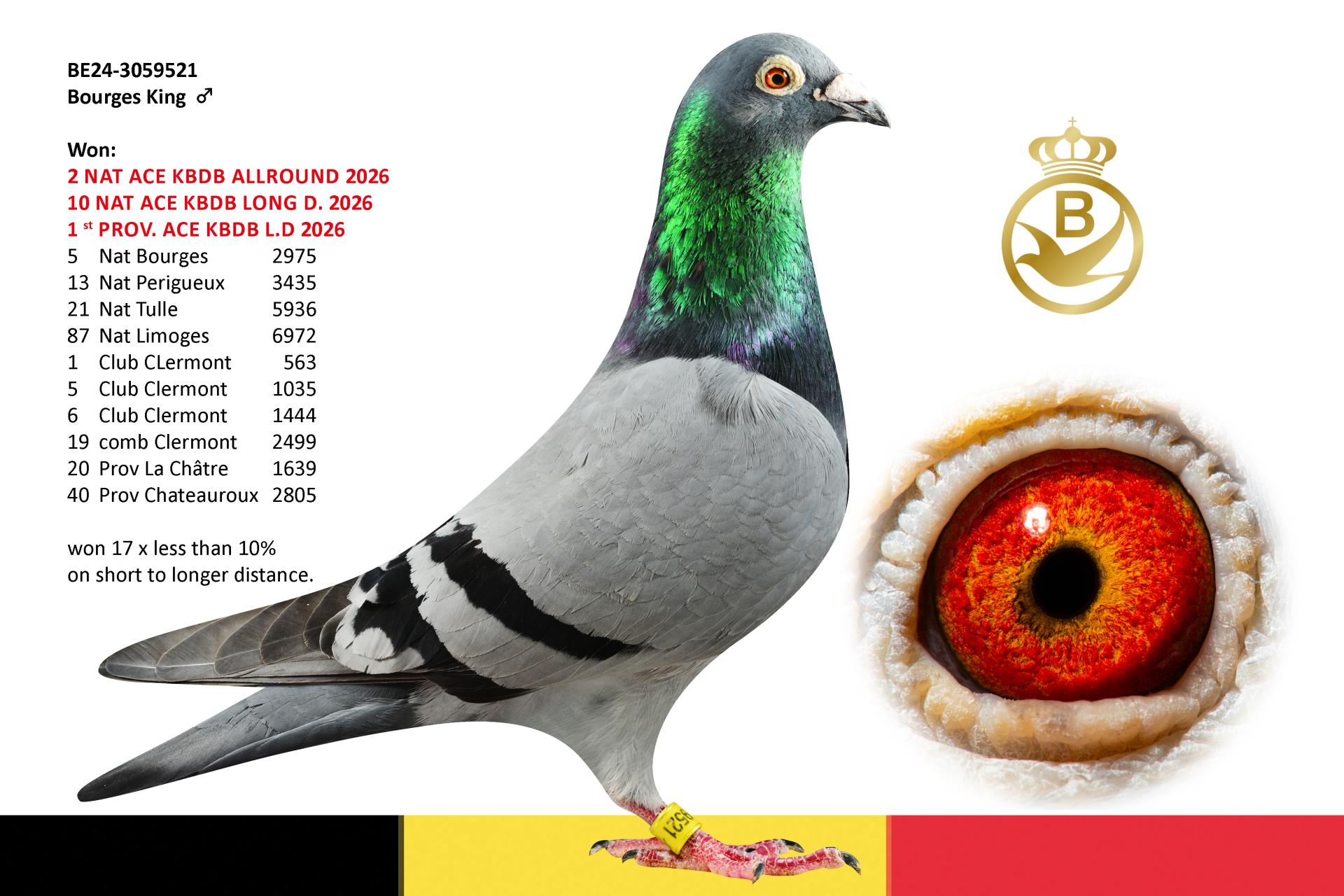BOURGES KING BE24-3059521