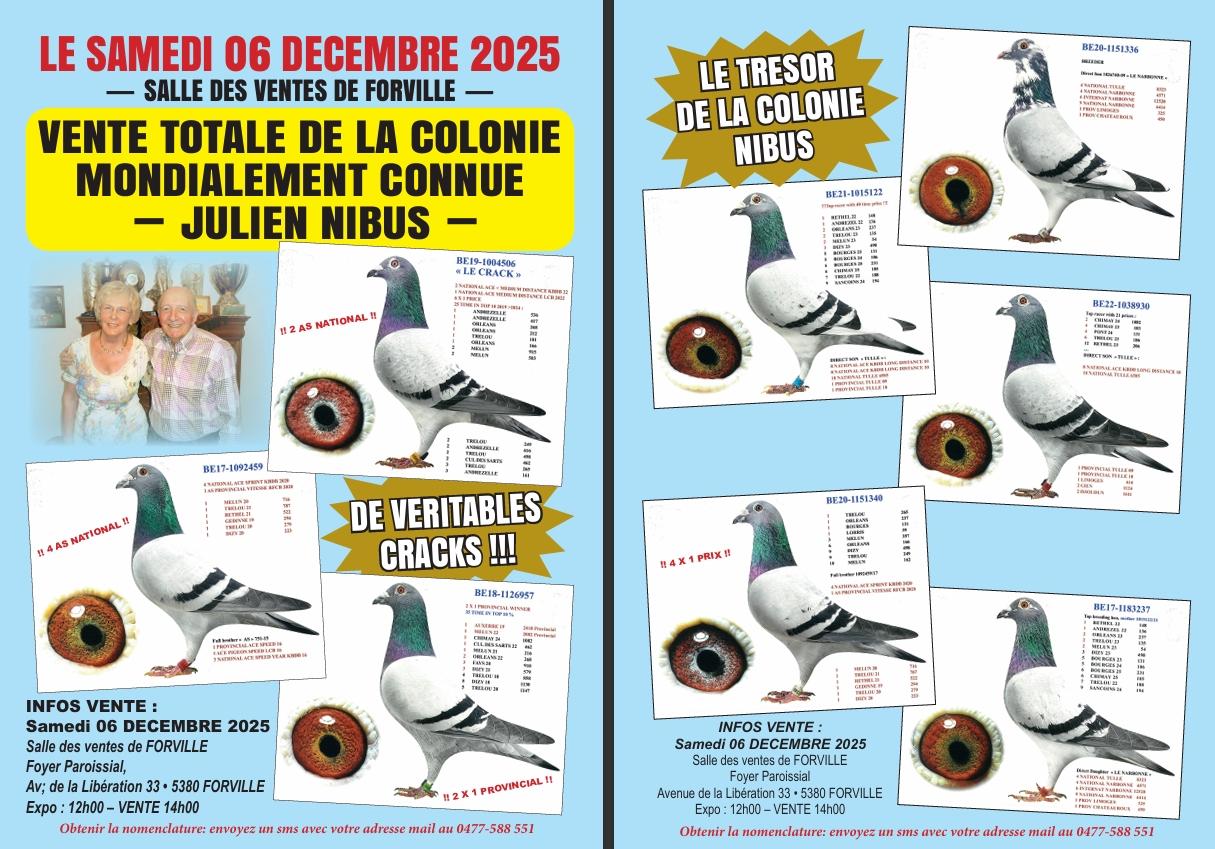 Capture d ecran 13 11 2025 194512