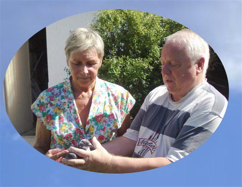 De geest luc 800x621