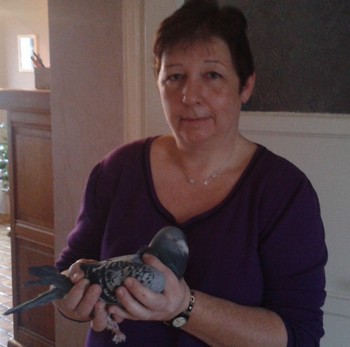 Haumont colette petit roeulx lez braine