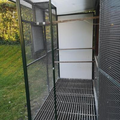 Img 20210929 175100 resized 20210929 093053373