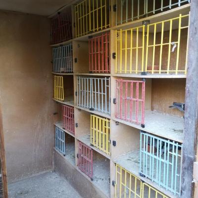 Img 20210929 175123 resized 20210929 093052796