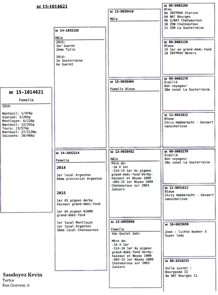 Kevin saudoyer 1 nat argenton pedigree 0