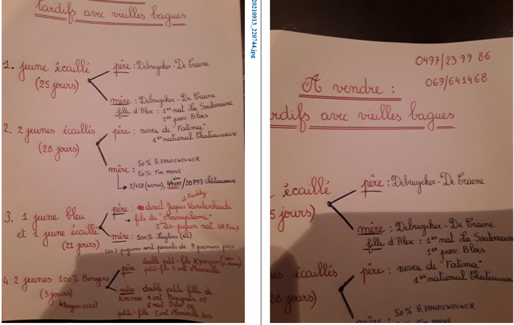 Screenshot 2021 09 15 at 14 47 30 zimbra