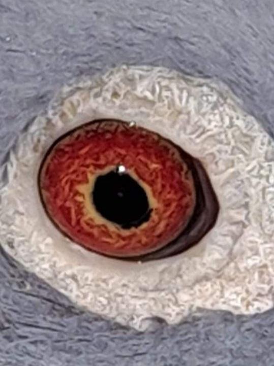 Screenshot 20230816 171953 facebook